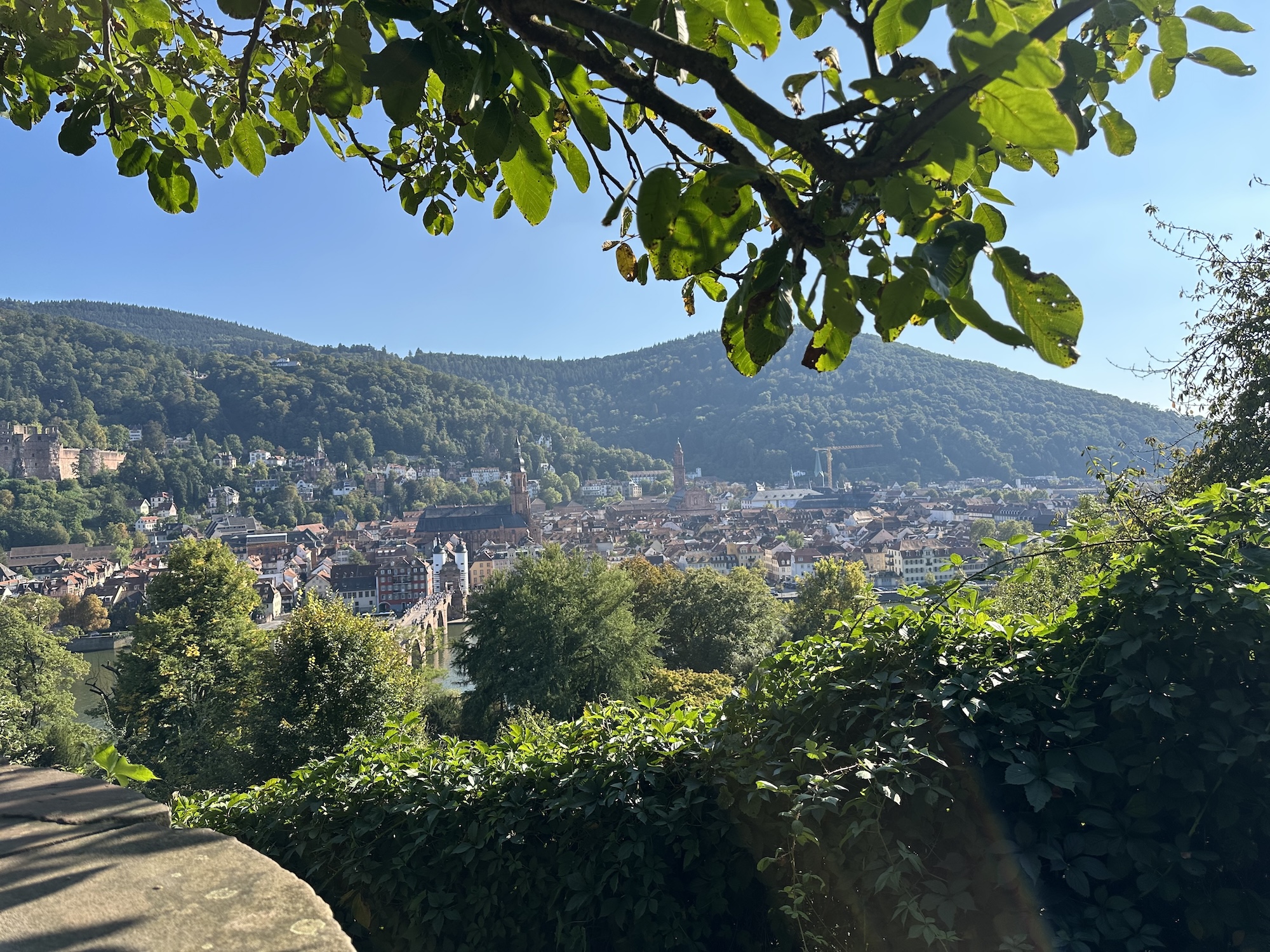 Heidelberg